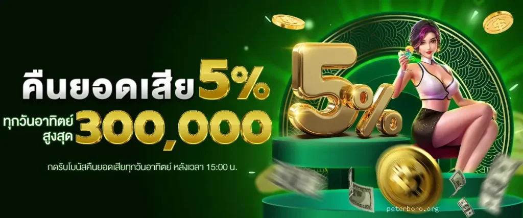 บาคาร่า demo