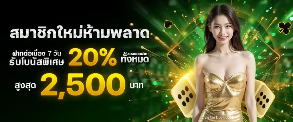 บาคาร่า demo